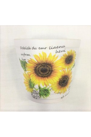 Vaso Ceramica Artenal 9x9 cm