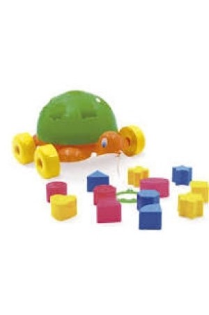 TARTARUGA DIDÁTICA - TURTLE DIDACTIVE REDE